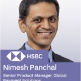 Mr. Nimesh Panchal